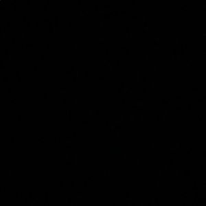 Meet your Posher, Jules